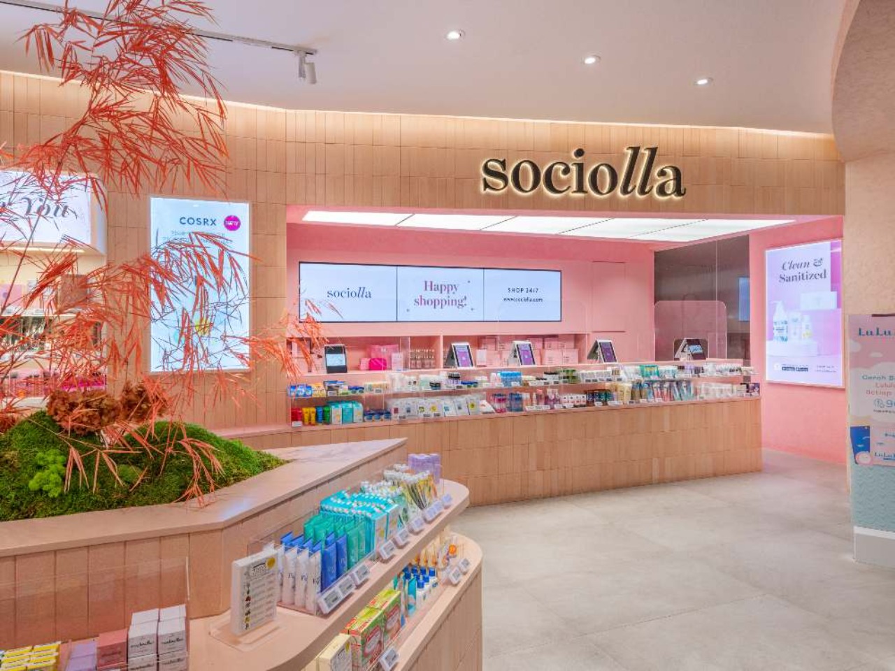 SOCIOLLA OFFICE 15